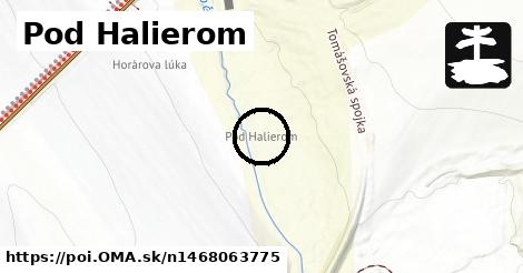 Pod Halierom