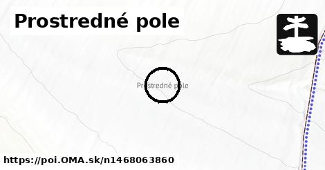 Prostredné pole