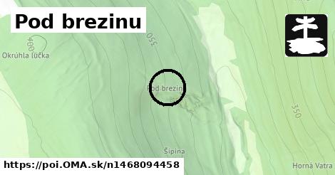 Pod brezinu