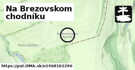 Na Brezovskom chodníku