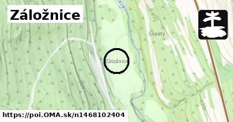 Záložnice