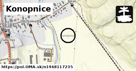 Konopnice