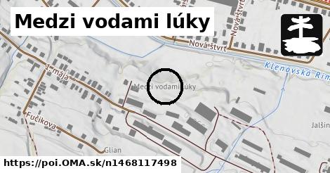 Medzi vodami lúky