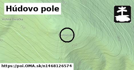 Húdovo pole