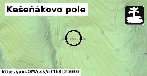 Kešeňákovo pole