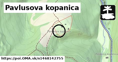 Pavlusova kopanica