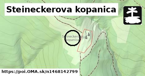 Steineckerova kopanica