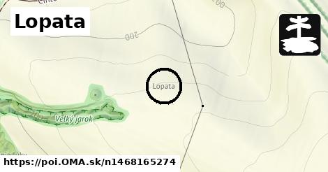 Lopata