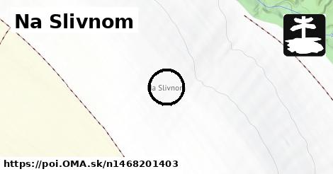 Na Slivnom