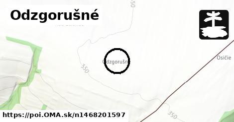 Odzgorušné