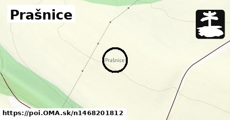 Prašnice