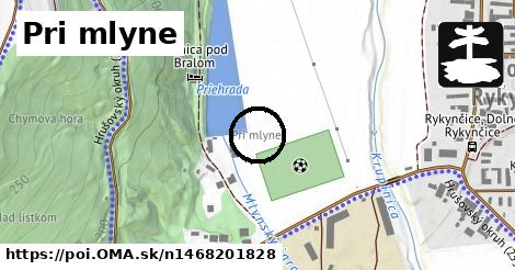 Pri mlyne