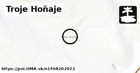 Troje Hoňaje