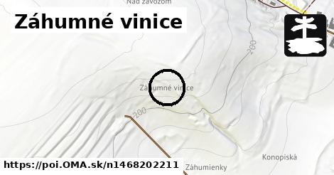 Záhumné vinice