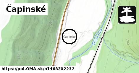Čapinské