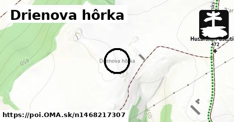 Drienova hôrka