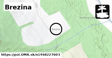 Brezina