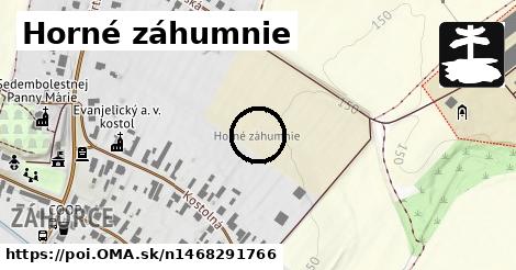 Horné záhumnie