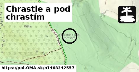 Chrastie a pod chrastím