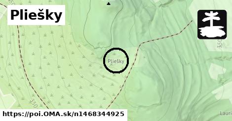 Pliešky