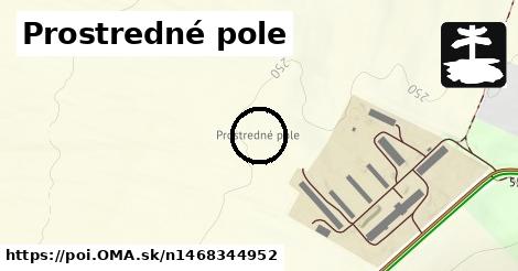 Prostredné pole