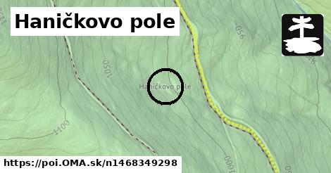 Haničkovo pole