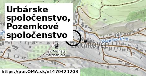 Urbárske spoločenstvo, Pozemkové spoločenstvo