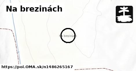 Na brezinách