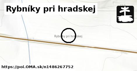 Rybníky pri hradskej