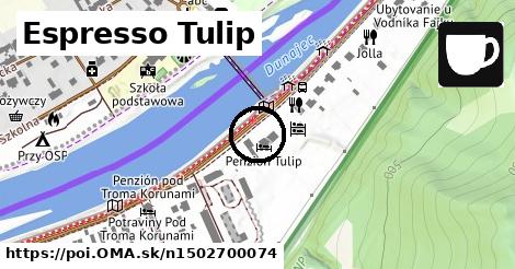 Espresso Tulip