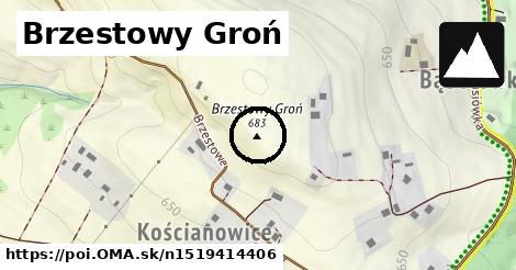 Brzestowy Groń