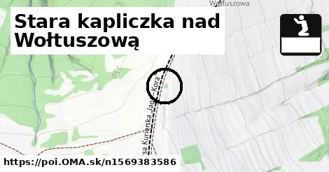 Stara kapliczka nad Wołtuszową