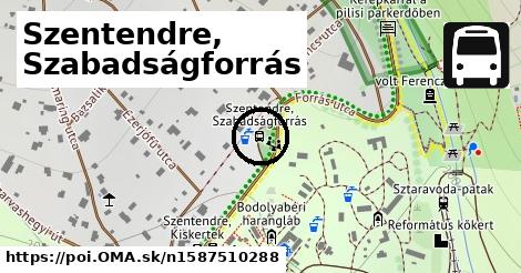 Szentendre, Szabadságforrás