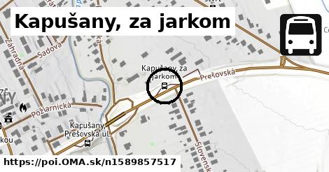 Kapušany, za jarkom