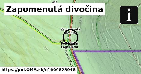 Zapomenutá divočina