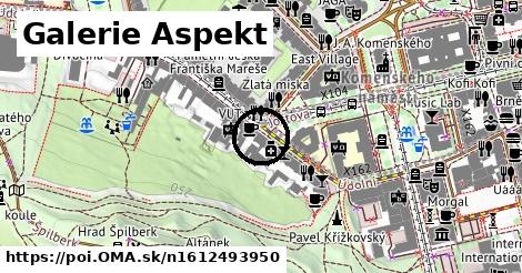 Galerie Aspekt