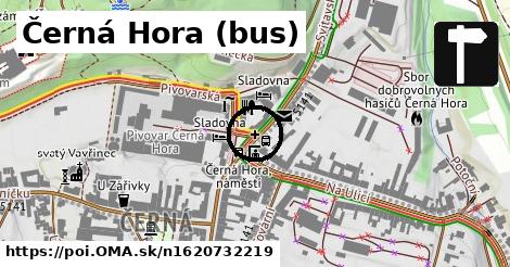 Černá Hora (bus)