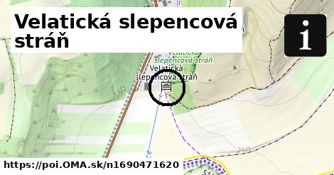 Velatická slepencová stráň