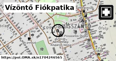 Vízöntő Fiókpatika