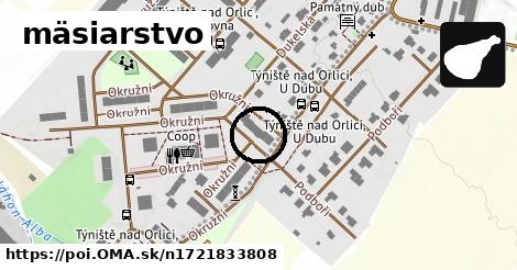 mäsiarstvo