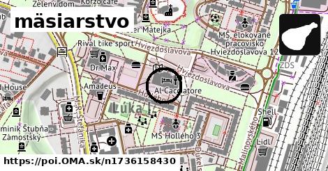 mäsiarstvo