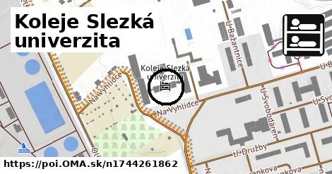 Koleje Slezká univerzita