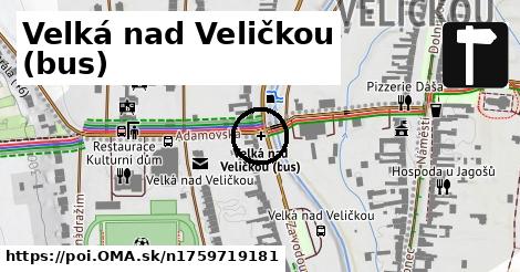 Velká nad Veličkou (bus)