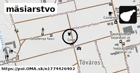 mäsiarstvo