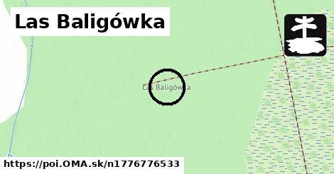 Las Baligówka