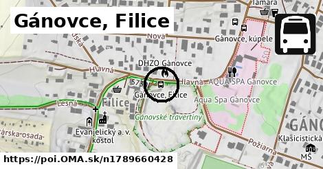 Gánovce, Filice