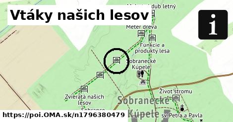 Vtáky našich lesov