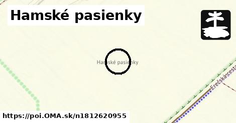 Hamské pasienky