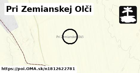 Pri Zemianskej Olči