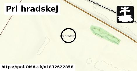 Pri hradskej